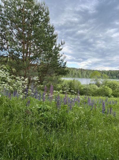 Дом 80 м² на участке 15 сот.