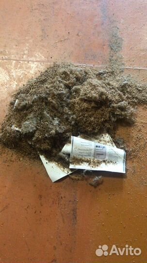 Устранение запахов, уборка после чп