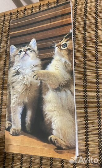 Фотоальбом новый 10*15 на 100 и 200фото