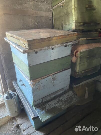 Пчелиные ульи