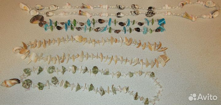 Морские ракушки