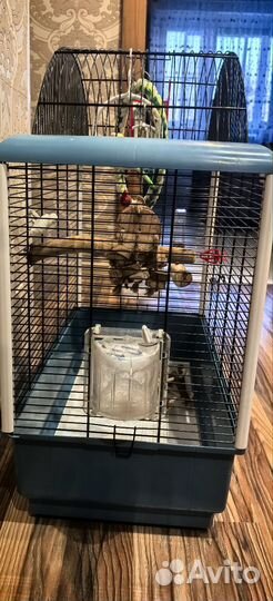 Клетка для попугая бу