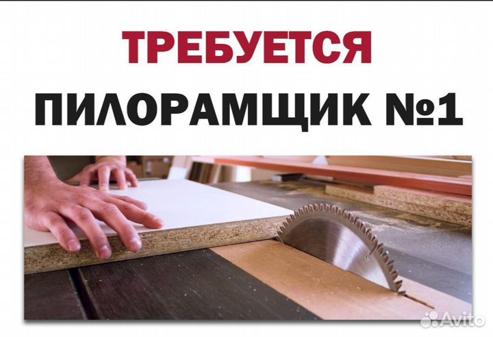 Пилорамщик N 1