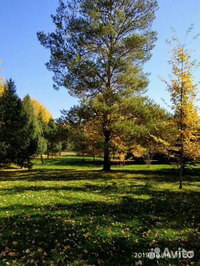 Солома сено в катушках навоз