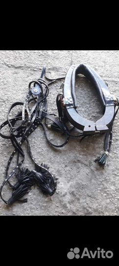 Упряжь для пони