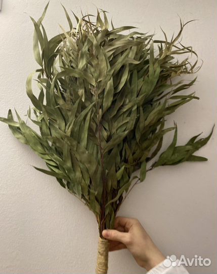 Эвкалиптовые банные веники
