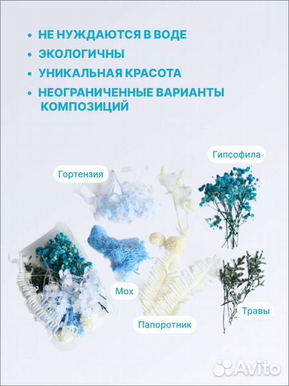 Сухоцветы набор