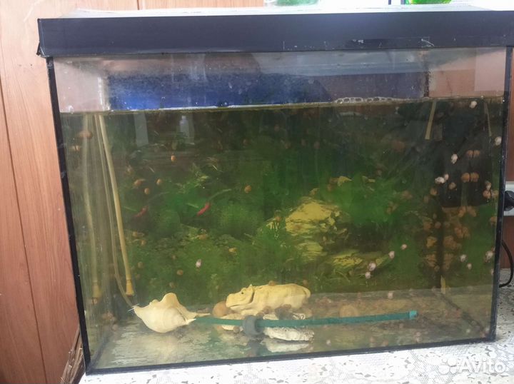 Аквариум 45 литров