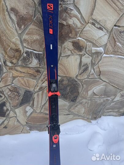 Горные лыжи salomon S/Force Fever +