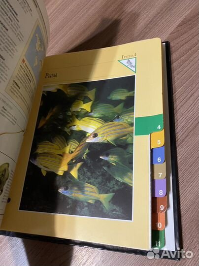 Энциклопедия