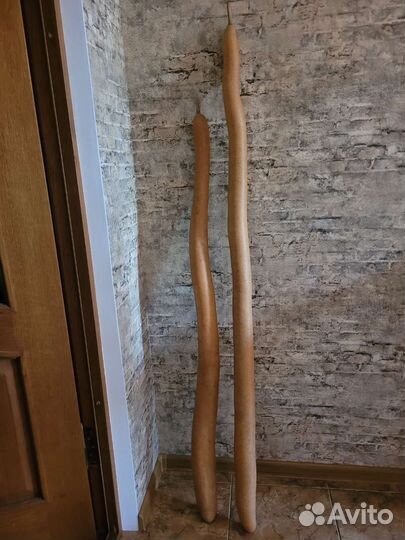 Таква декоративная сухая для дизайна и декора