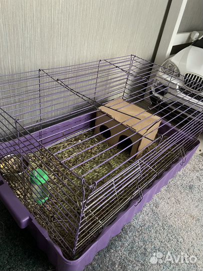 Клетка для морской свинки бу