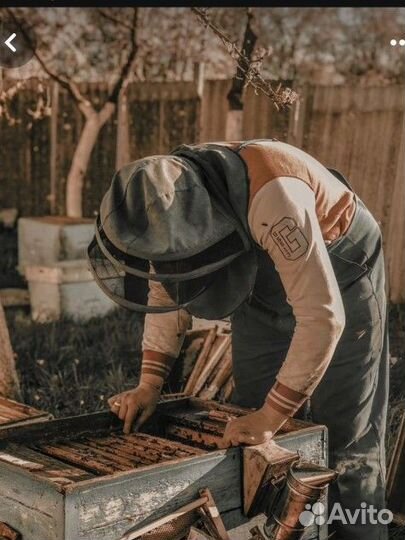 Продам ульи для пчел