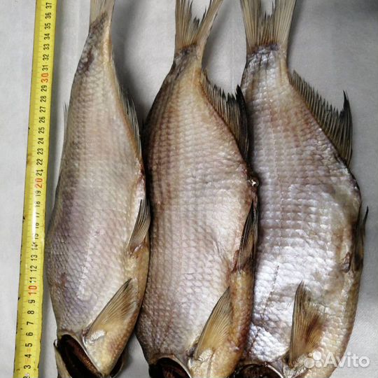 Цимлянская рыба(Донская)