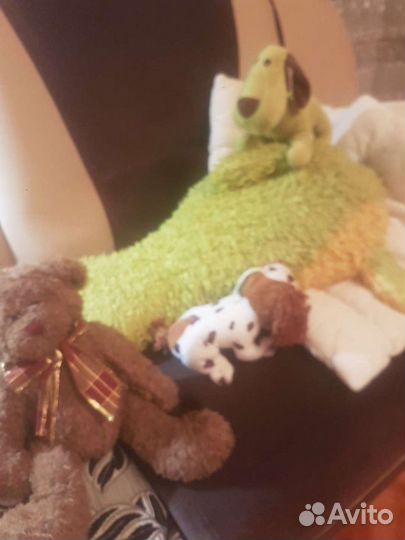 Мягкие игрушки