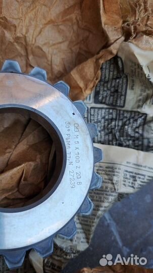 Долбяк чашечный