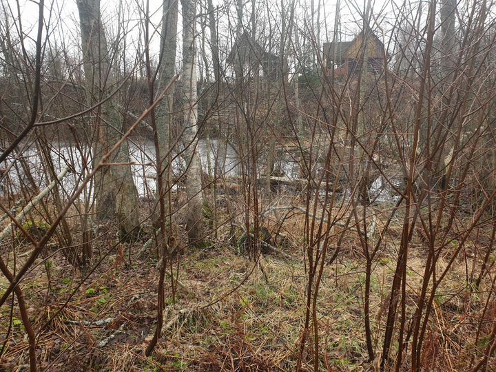 Участок 13 сот. (СНТ, ДНП)