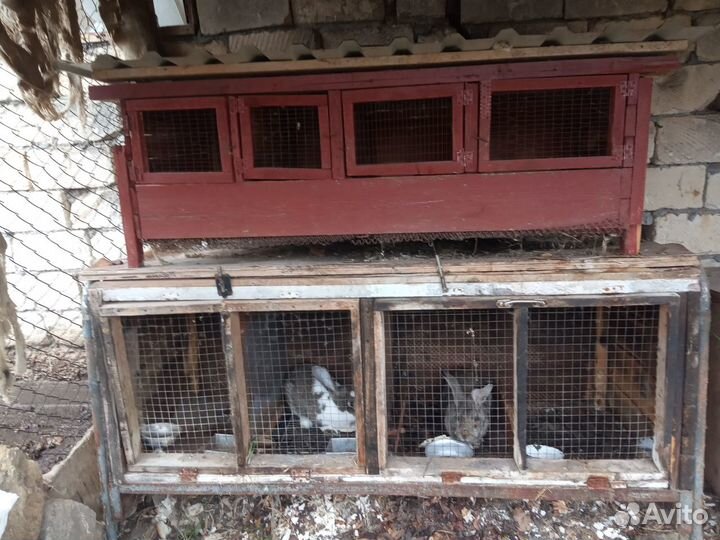 Клетки для кроликов