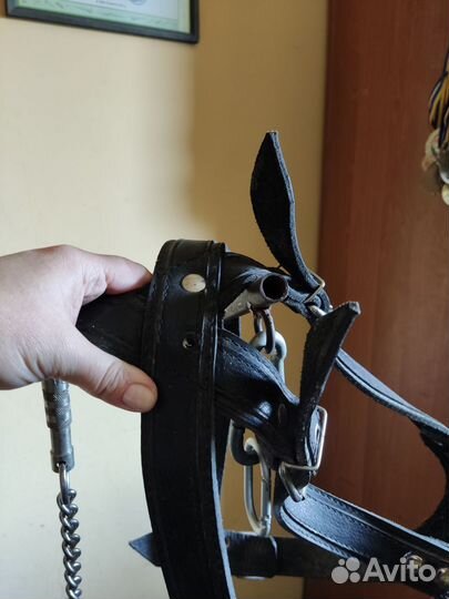 Шлейка кожаная для большой собаки и поводок