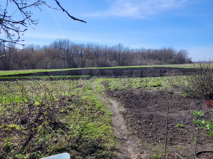 Дом 70 м² на участке 40 сот.