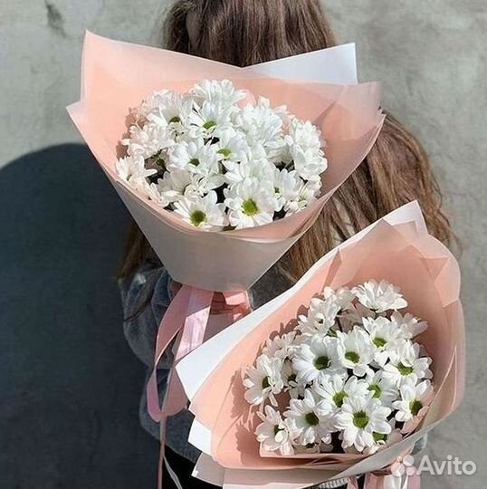 Хризантема Букет хризантем Доставка