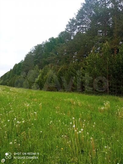 Участок 12 сот. (ИЖС)