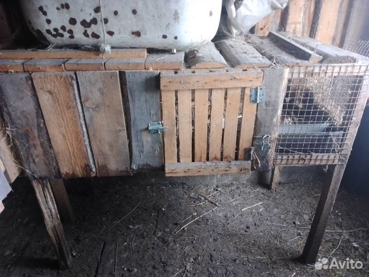 Кроличьи клетки
