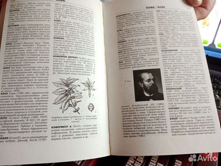 Энциклопедия