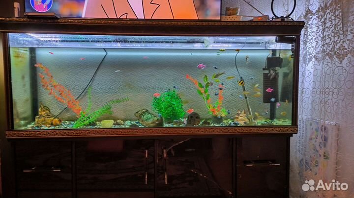 Аквариум