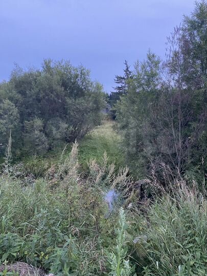 Участок 15 сот. (СНТ, ДНП)