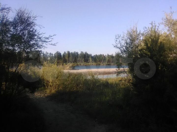 Участок 10 сот. (СНТ, ДНП)