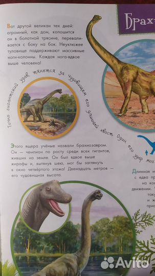 Книга Куда ушли динозавры