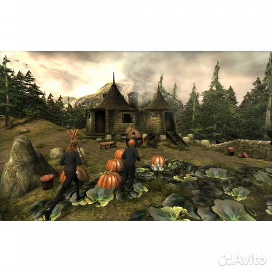 Гарри Поттер и Орден Феникса, б/у (PSP)