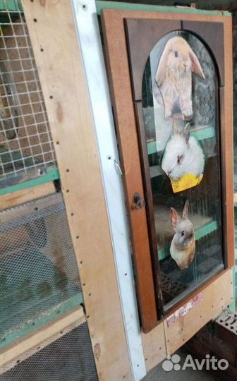 Клетки для кроликов бу