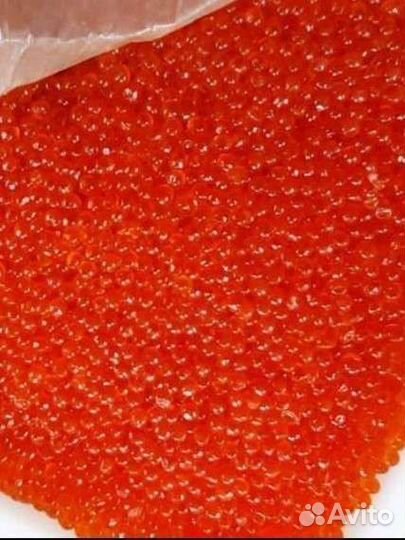 Красная икра горбуши 2023