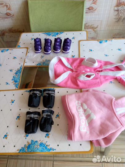 Ботинки для маленьких собак