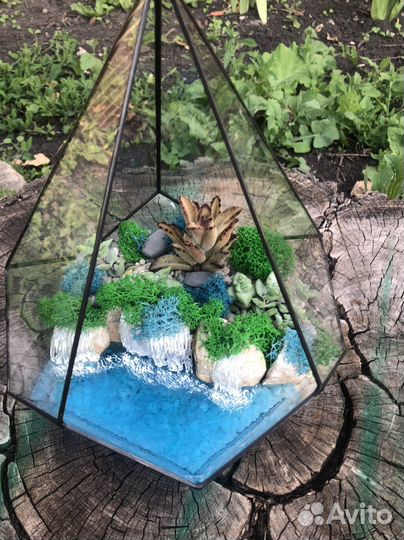 Флорариум, комнатные цветы