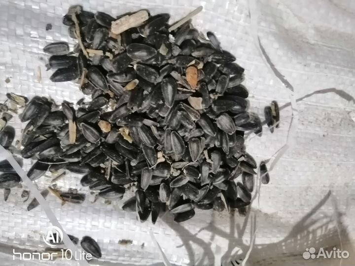 Семечка подсолнуха и не только