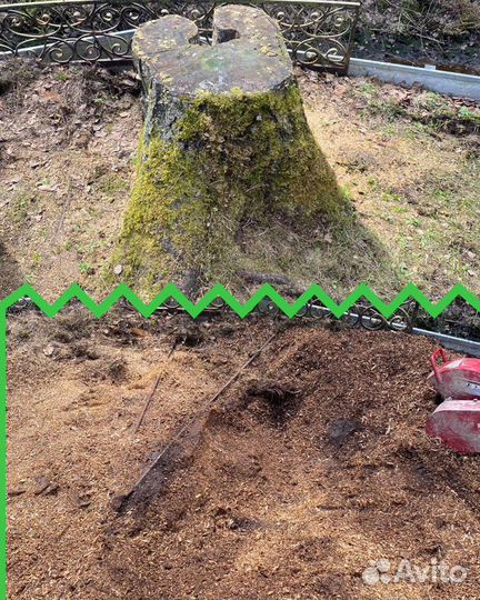 Покос травы,расчистка участка,корчевание пней