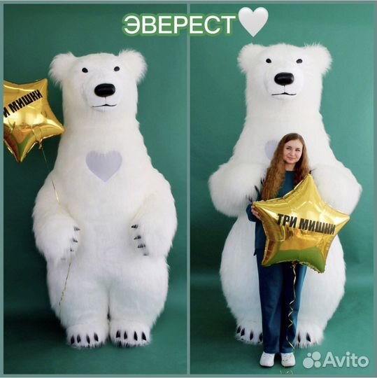 Поздравления, ростовые куклы, три мишки