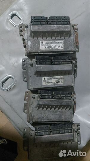 Мазги на газель