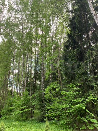 Участок 7,5 га (ИЖС)