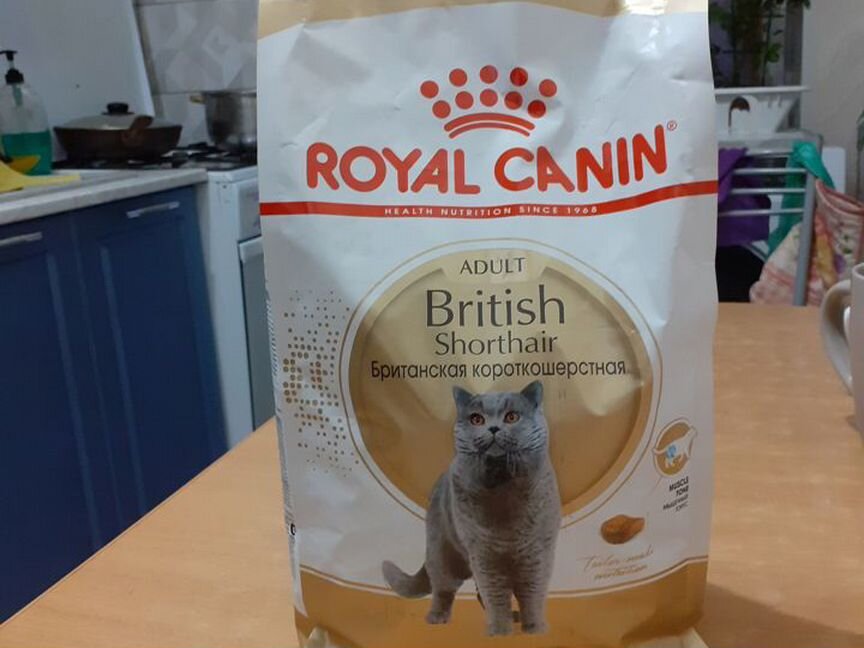 Royal Canin British shorthair