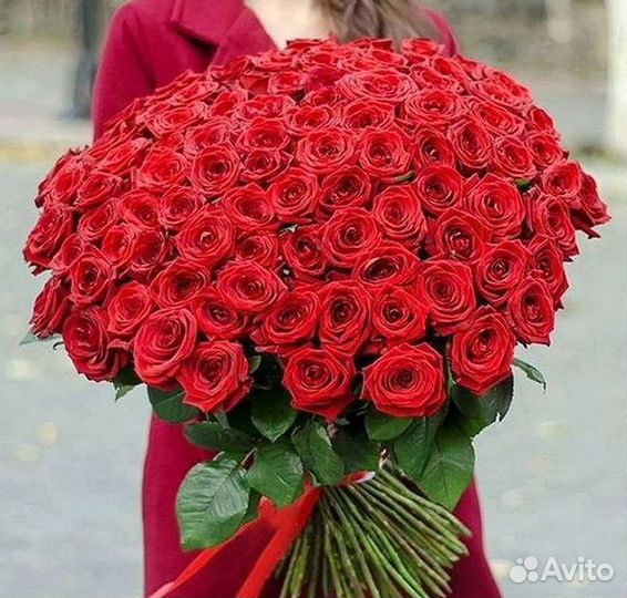 Букет роз 101 роза 51 роза