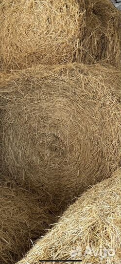Солома ячменная в рулонах