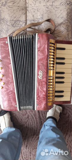 Аккордеон детский