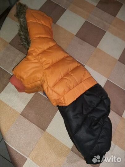 Комбинезон для собаки