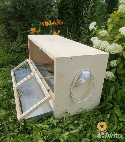 Брудер для цыплят