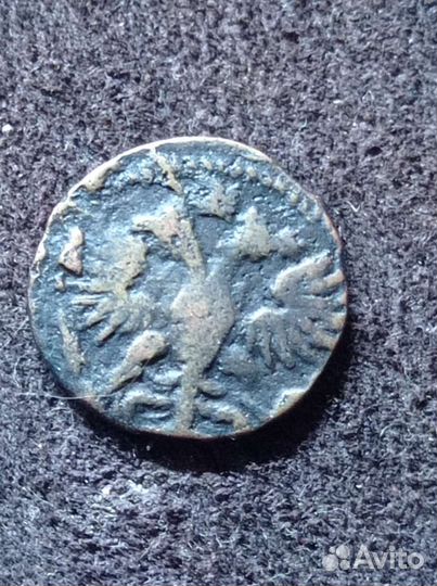 Полушка 1722 год, Пётр 1