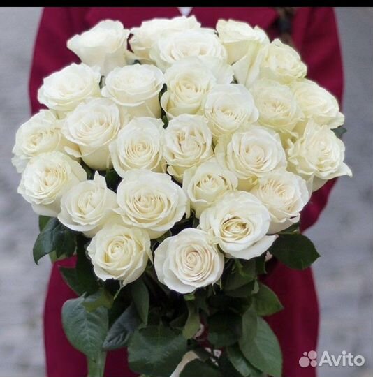 25 белыз роз с доставкой в Кемерово